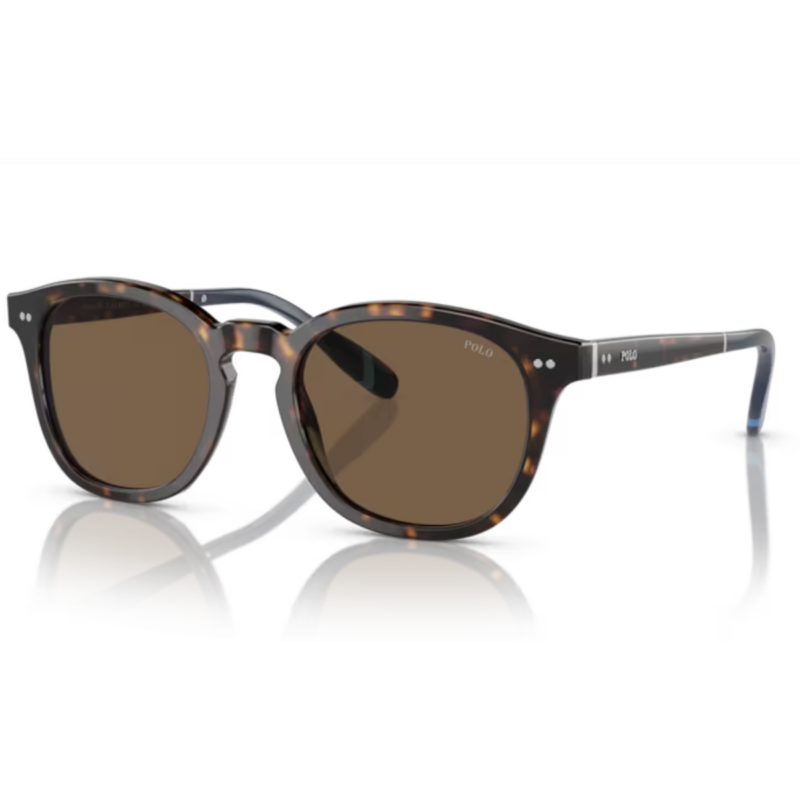 ΓΥΑΛΙΑ ΗΛΙΟΥ POLO RALPH LAUREN PH4206 500373 Λαμπερό σκούρο havana