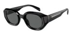ΓΥΑΛΙΑ ΗΛΙΟΥ EMPORIO ARMANI EA4230U 501787 Λαμπερό μαύρο