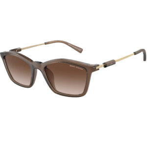 ΓΥΑΛΙΑ ΗΛΙΟΥ ARMANI EXCHANGE AX4146SU 834913 Γυαλιστερό Διαφανές Καφέ