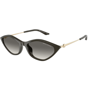 ΓΥΑΛΙΑ ΗΛΙΟΥ ARMANI EXCHANGE AX4152SU 836711 Παστέλ σκούρο γκρι