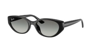 RAY BAN RB4457D 667711 Μαύρο