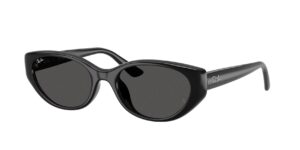 RAY BAN RB4457D 667787 Μαύρο