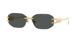 VERSACE VE2274 100287