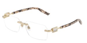 DOLCE GABBANA DG1361 488