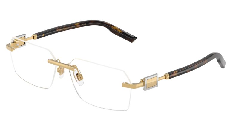 DOLCE GABBANA DG1361