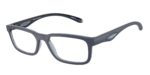 ARNETTE AN7283 Raysin