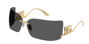 DOLCE GABBANA DG2319 02/87