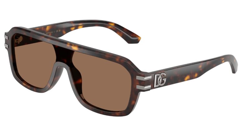 DOLCE GABBANA DG4507
