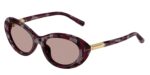 DOLCE GABBANA DG4519