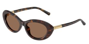 DOLCE GABBANA DG4519 502/73