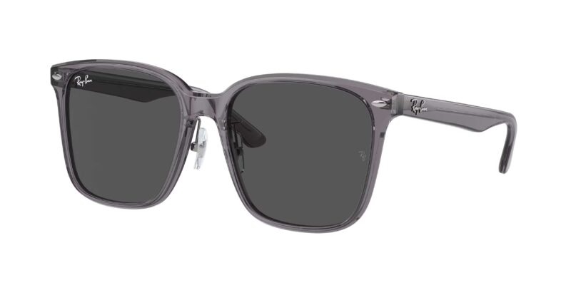 RAY BAN RB2206D