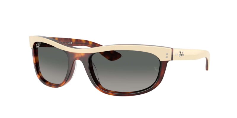 RAY BAN RB2489 Balorama 144371
