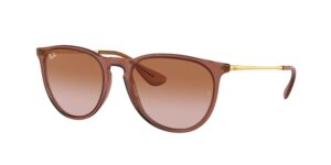RAY BAN RB4171 Erika 659013