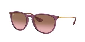 RAY BAN RB4171 Erika 659114