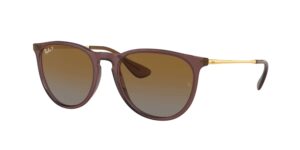 RAY BAN RB4171 Erika 6593T5