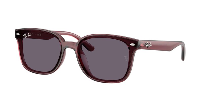unisex γυαλιά ηλίου RAY-BAN RB4461D 659373 με διαφανή σκούρο καφέ κοκάλινο σκελετό και βιολετί φακούς.