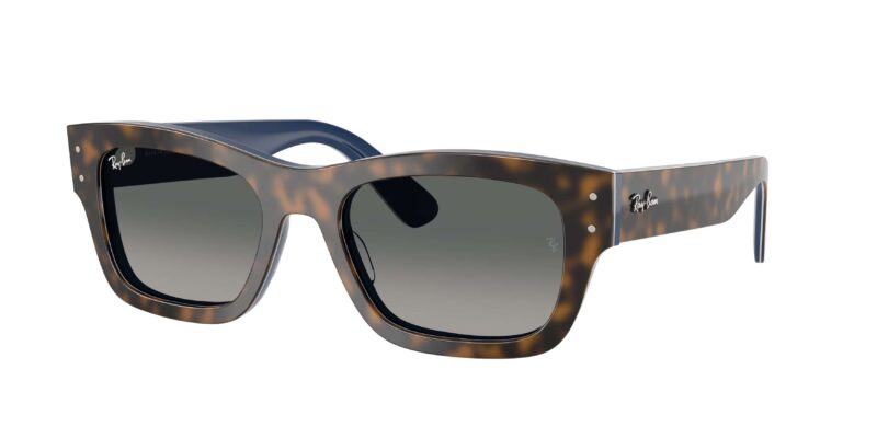 RAY BAN RB7683S Joseph 140171