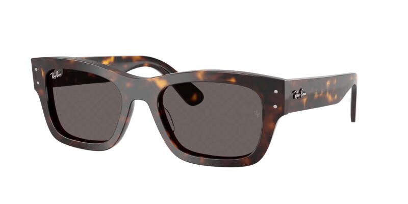 RAY BAN RB7683S Joseph 902/B1