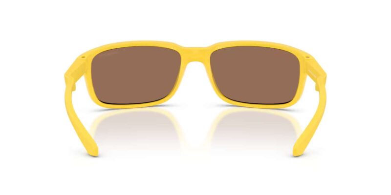 Γυαλιά ηλίου Arnette AN4373 304273 Matte Ochre με σκούρο καφέ φακό.