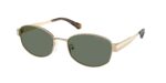 Κομψά γυναικεία γυαλιά ηλίου MICHAEL KORS MK1161 10143H Monte carlo με μεταλλικό σκελετό σε ανοιχτό χρυσό και πράσινους μονόχρωμους φακούς.