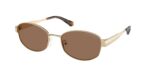 Κομψά γυναικεία γυαλιά ηλίου MICHAEL KORS MK1161 101473 Monte carlo με μεταλλικό σκελετό σε ανοιχτό χρυσό και καφέ μονόχρωμους φακούς.