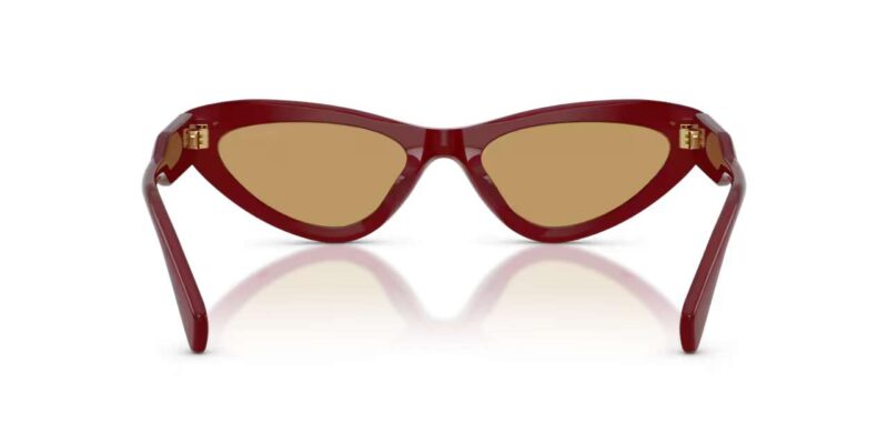 Γυναικεία γυαλιά ηλίου MIU MIU MU B11SU 21I10Y με σκελετό οπάλ βουργουνδί και καφέ φακούς.
