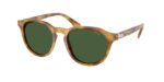 Ανδρικά γυαλιά ηλίου POLO RALPH LAUREN PH4221 618571 με κοκάλινο σκελετό σε γυαλιστερή ανοιχτή καφέ ταρταρούγα και φακούς σε πράσινο του μπουκαλιού.