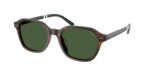 Ανδρικά γυαλιά ηλίου POLO RALPH LAUREN PH4234U 631571 με κοκάλινο σκελετό σε γυαλιστερό ριγέ καφέ και φακούς σε πράσινο του μπουκαλιού.
