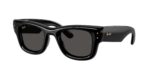 RAY-BAN RB4940 601/87 Wayfarer puffer