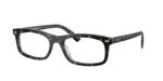 Γυαλιά οράσεως Ray-Ban RX5450 8483 Havana Γκρι UPC 8056262835296