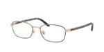 Γυαλιά οράσεως Ray-Ban RX6551D 3193 Havana Χρυσό UPC 8056262846155